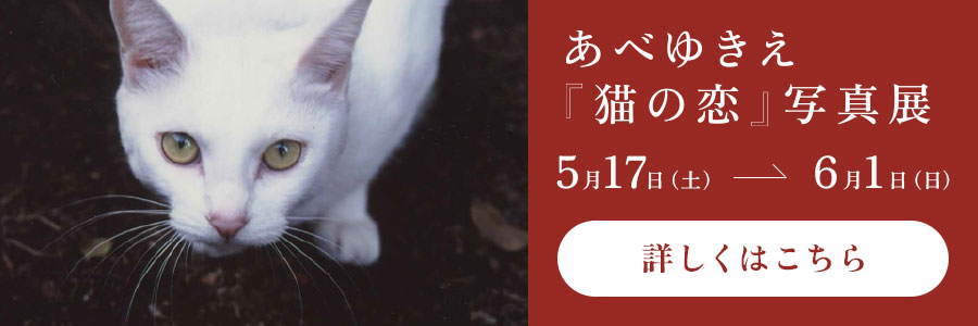 「猫の恋」写真展