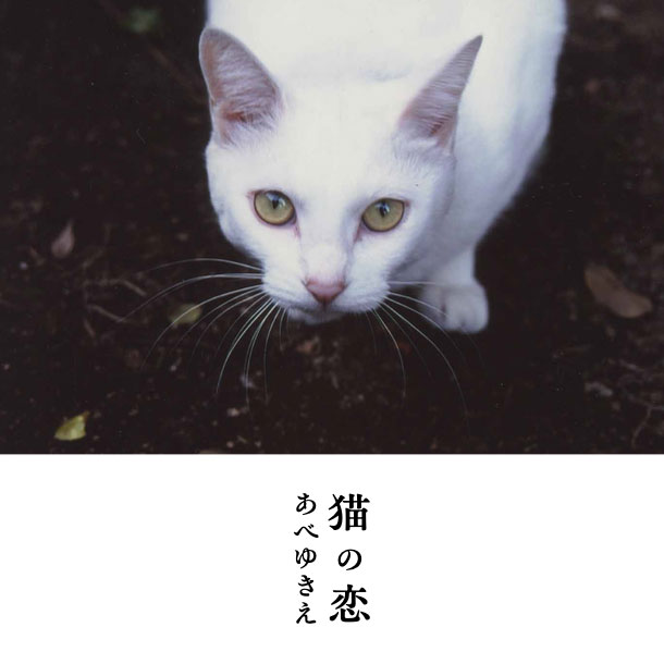 猫の恋