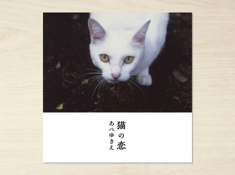 猫の恋